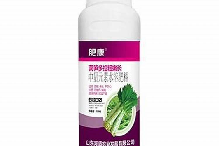 多肉紫乐的养护方法