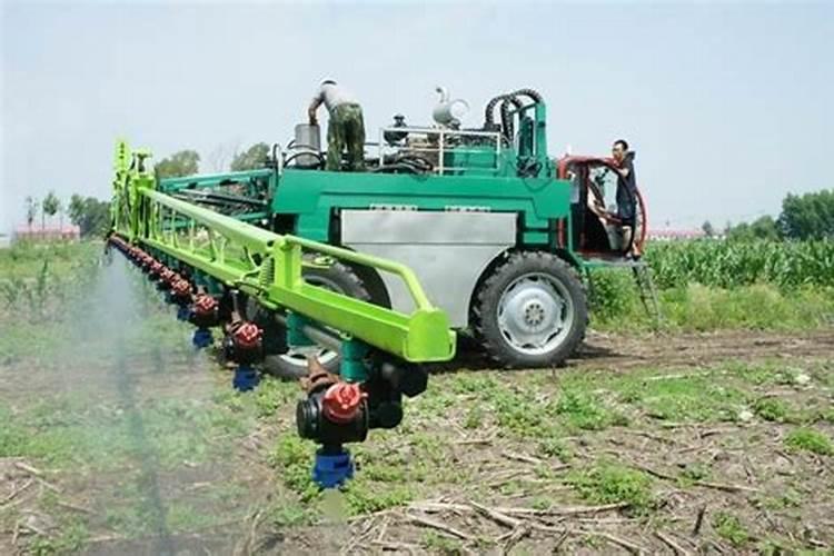 瑞丰隆叶面肥一袋多少线？