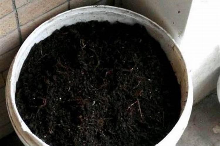 羊粪什么牌子质量好