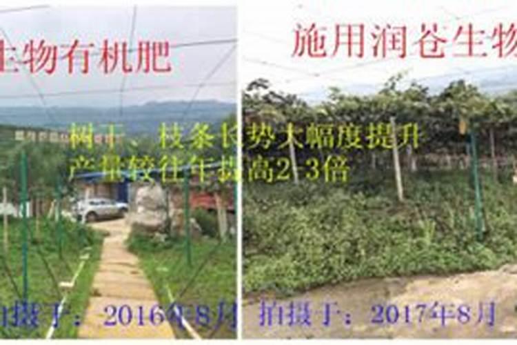 肥料增效剂一般有哪些