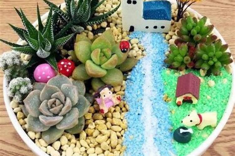 怎样给多肉施肥