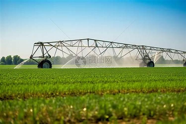 新型烟草专用肥料有哪些