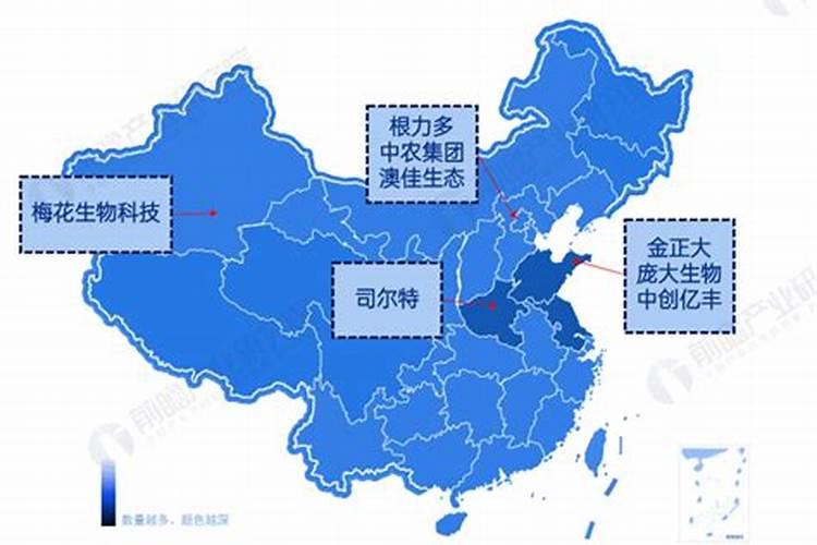 南宁市比较大的批发市场有哪些？