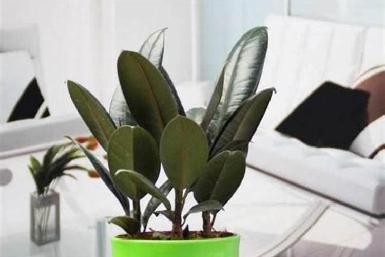 糖醇钙的高效用法你知道吗？