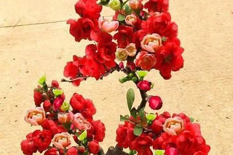 云南省玉溪市新平县适宜种植黑珍珠樱桃吗？