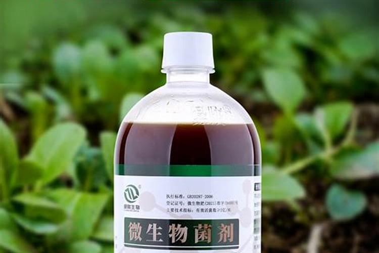 秸秆,炉渣可以种植蔬菜吗
