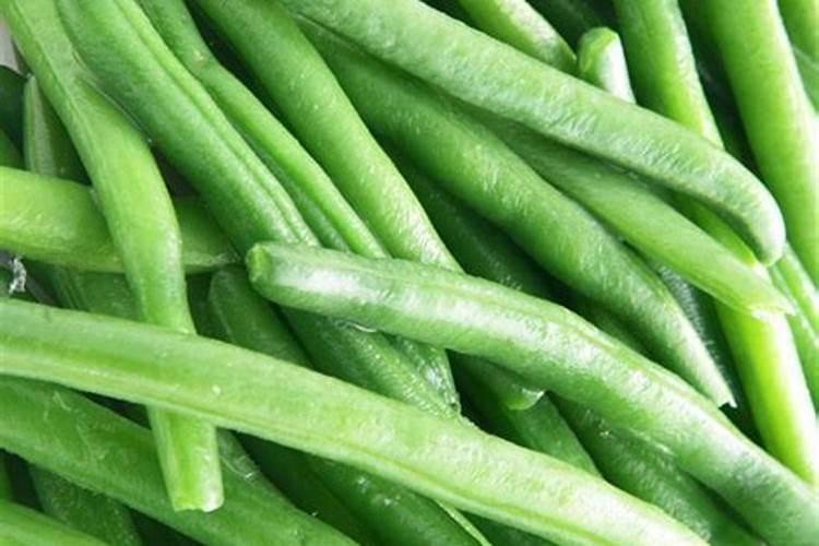 青刀豆的意思是什么