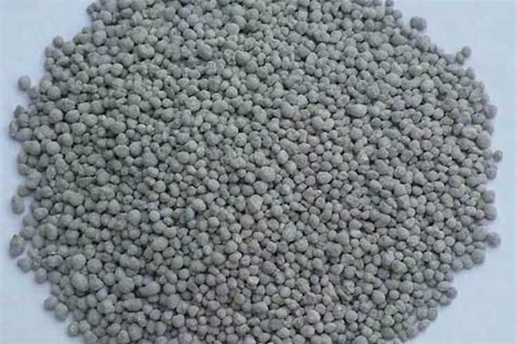 杨梅挂果了中期该用什么肥