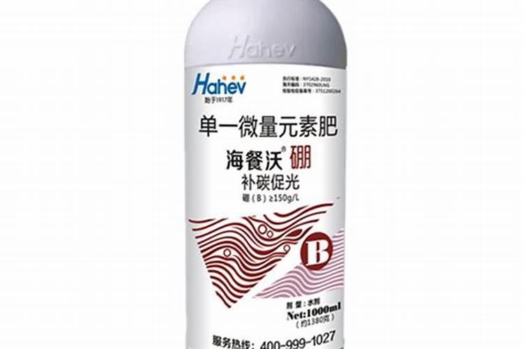 李子不能和什么一起吃