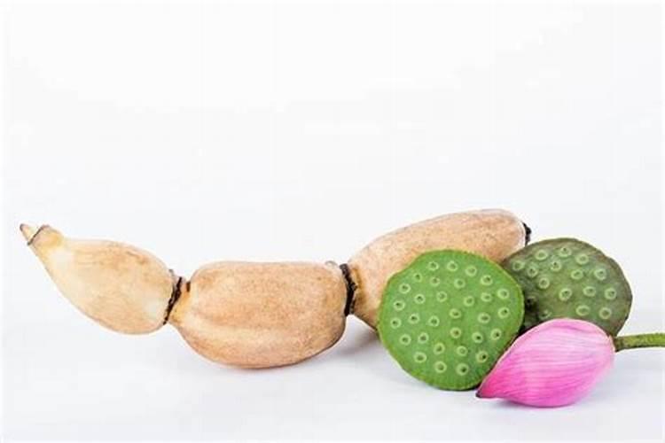 硅肥的作用及功能