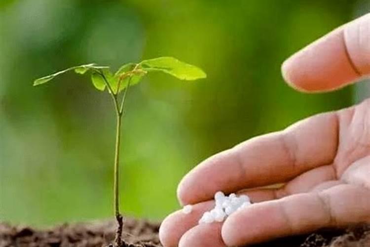 好的水溶肥如何选择