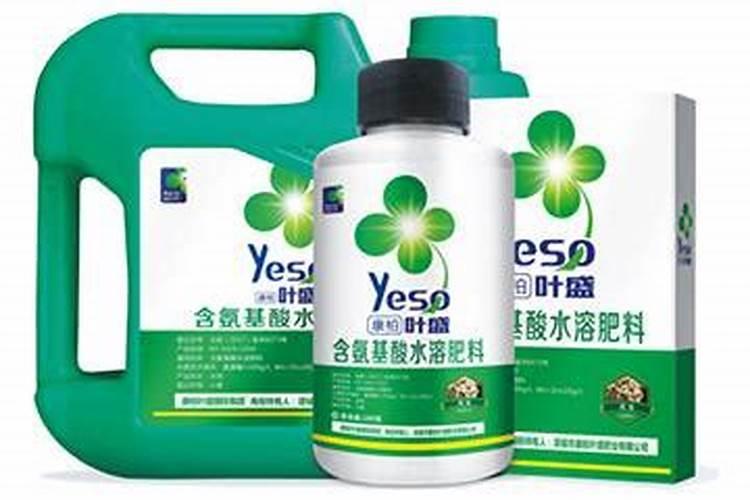 大棚韭菜喷什么叶面肥