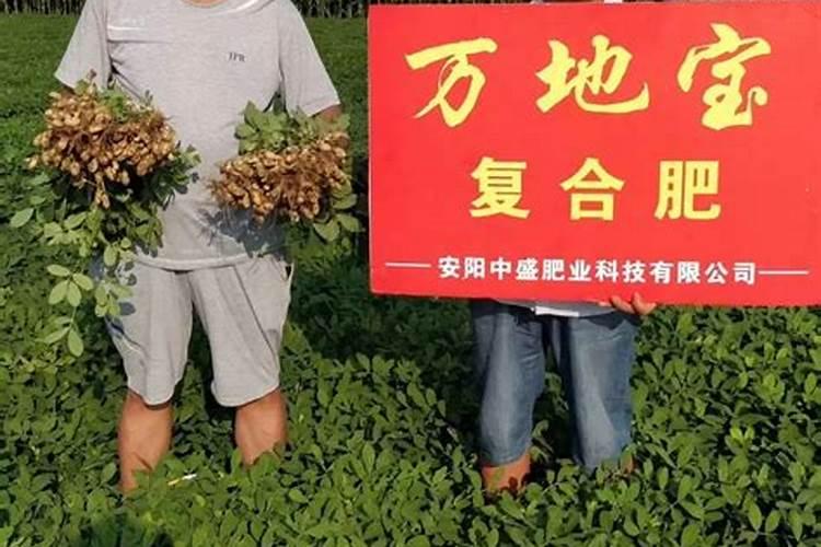 鲁南地区种植花生什么时候追肥合适