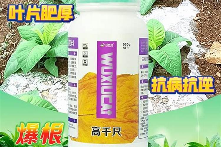 硼砂有什么作用？