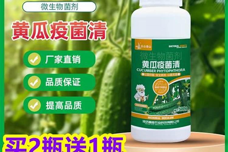 金银花嫩枝扦插枝术和管理方法,用ABT1号生根粉可做为扦插吗？浓度是多少...