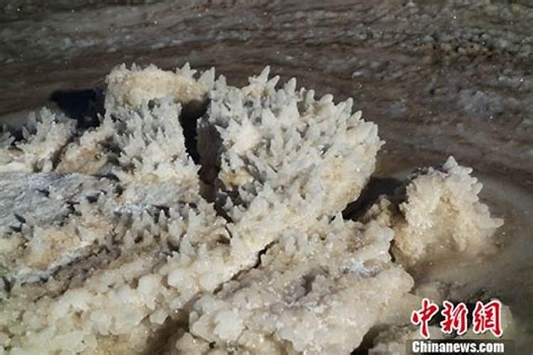 全球最大钾肥厂