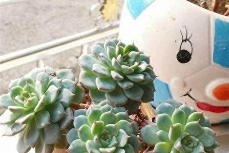 黄糖怎么熬成液体