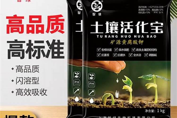 Vida Glow星级专家团上线,专业解读海洋胶原蛋白肽的有效性