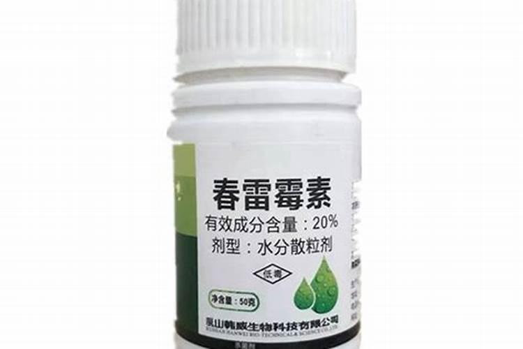 冬天绿萝需要施肥吗