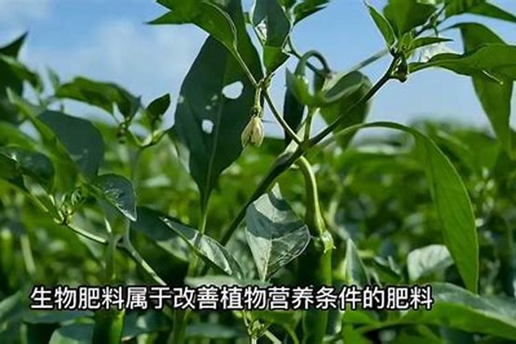 生根粉怎么用效果好 生根粉怎么用效果最佳