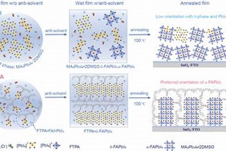 果树补钙用什么肥料？