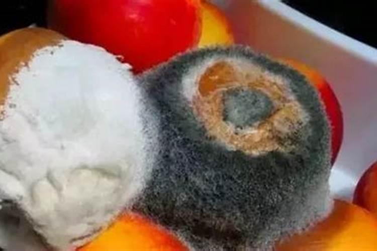 黑色发霉豆子四五年了可以当肥料吗？