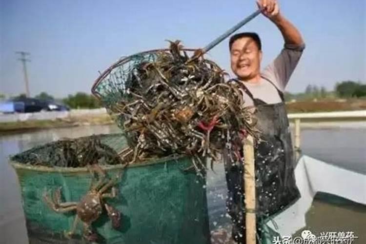 家庭牡丹怎样施肥不烧根(盆栽牡丹施肥时间和方法)