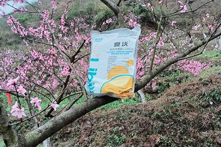 畅销全球46国的颗粒水溶肥