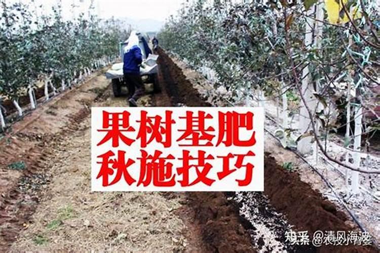 氮肥对果树的作用