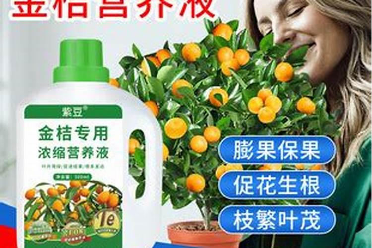 自贡市荷园养殖有限公司怎么样？