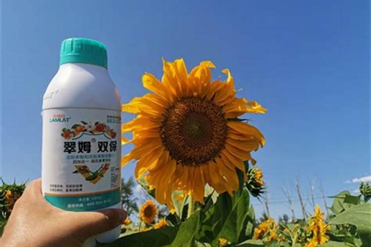 富硒叶面肥怎样喷水稻可以产富硒大米