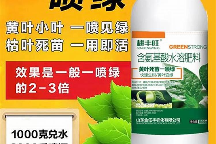 中农埃柯弗氨基酸喷玉米最多一桶能加多少克