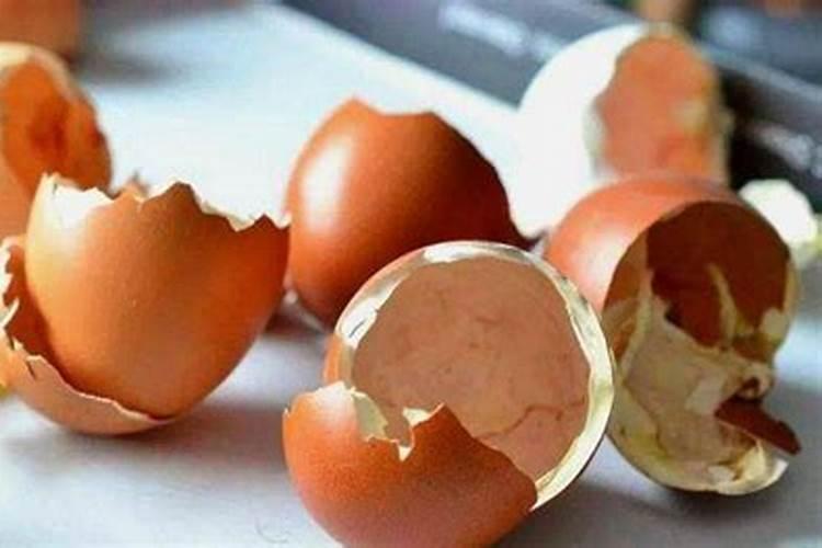 鸡蛋壳如何做花肥