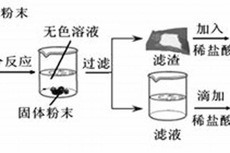 淘米水是氮肥还是磷肥？