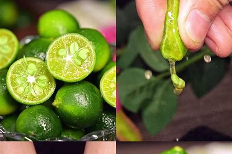 小青桔怎么存放