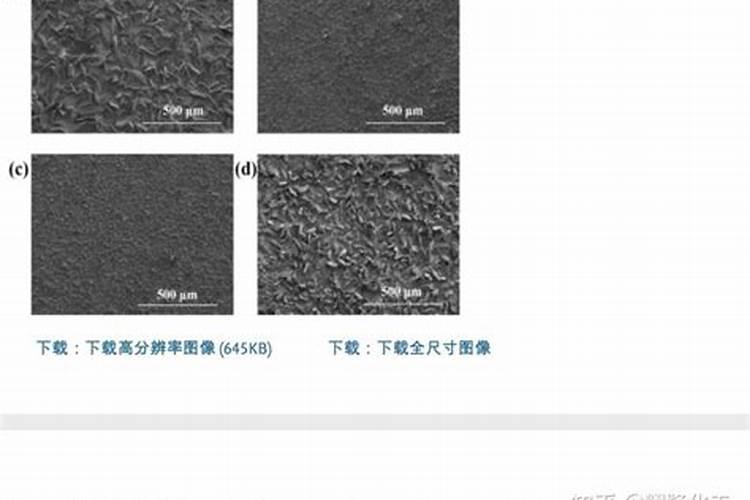 一天20吨生活污水处理设施