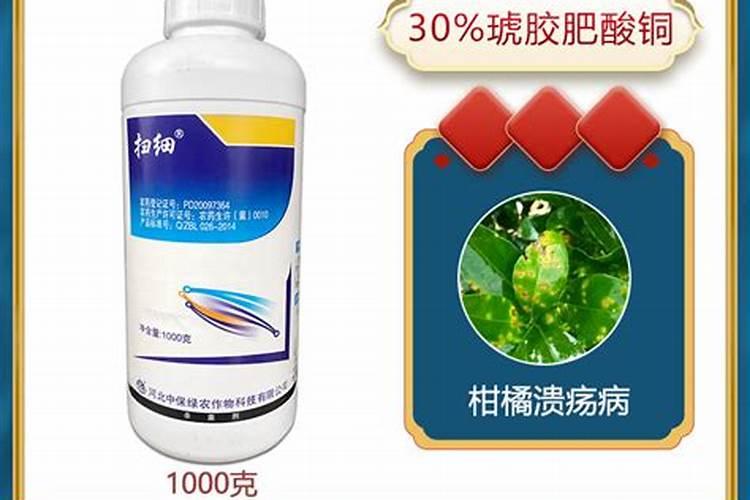 西瓜细菌性叶枯病特效药,如何防治