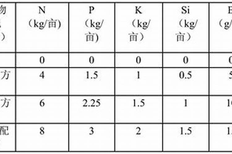 这10种花再怎么折腾都死不了如果它们不生长这是一种损失