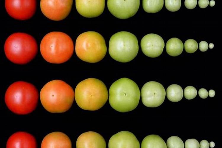 氮肥适合浇什么花