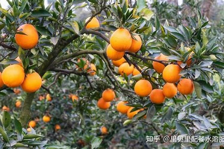 为什么要禁止使用硝态氮肥