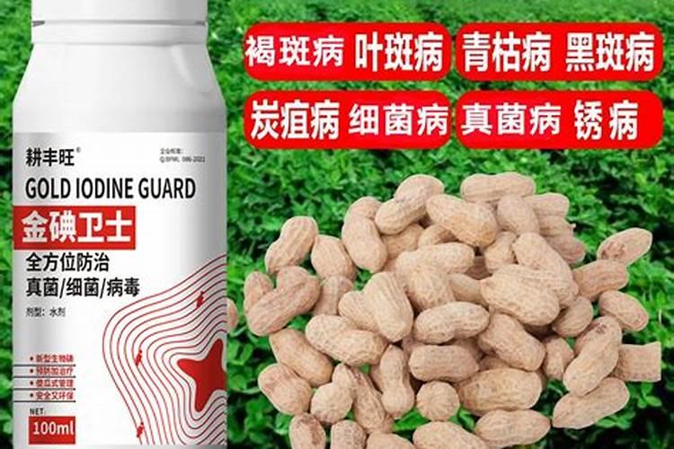 花生打农药的最佳时间
