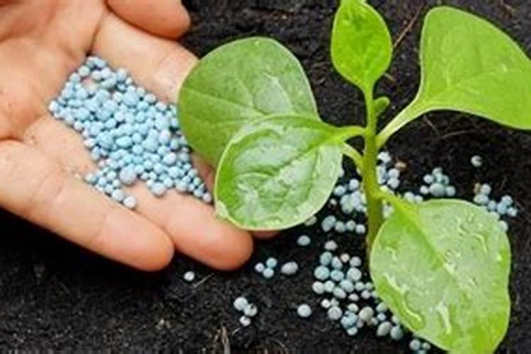 水溶性滴灌肥料有哪些