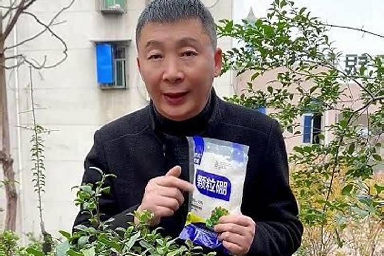 金弹子流体硼怎么用