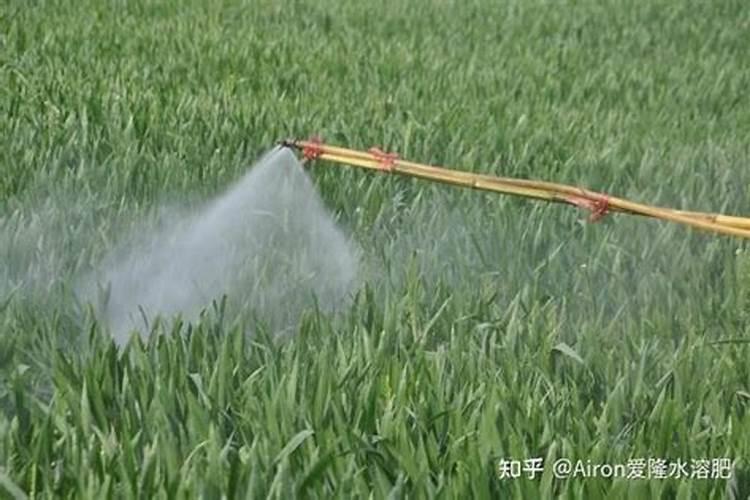 花卉栽培常用的无机肥有哪些？