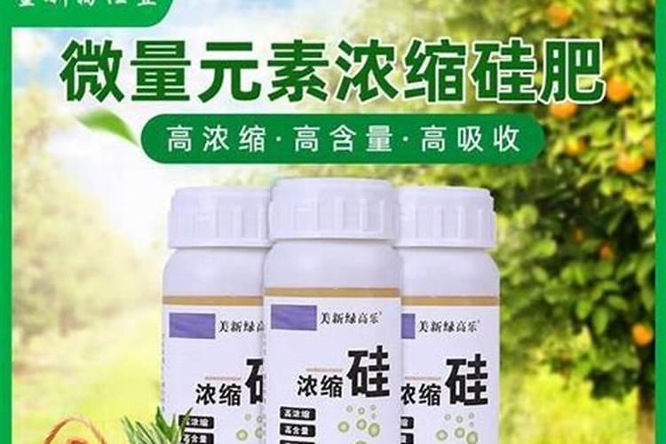 硅肥营养液怎么用 液体硅肥的使用方法