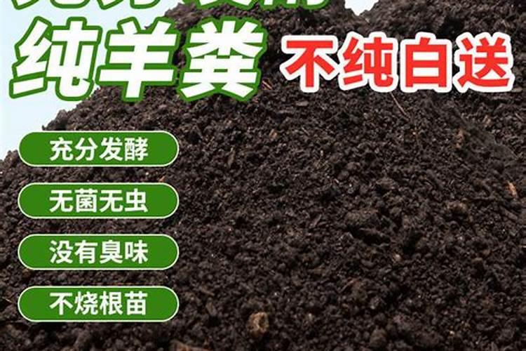 家庭养花想促进植物开花用什么有机肥？