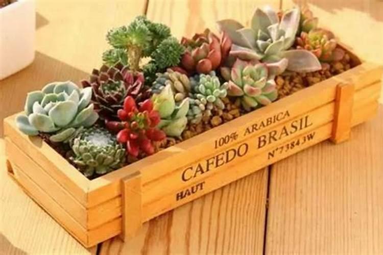 栀子花可以用复合肥吗