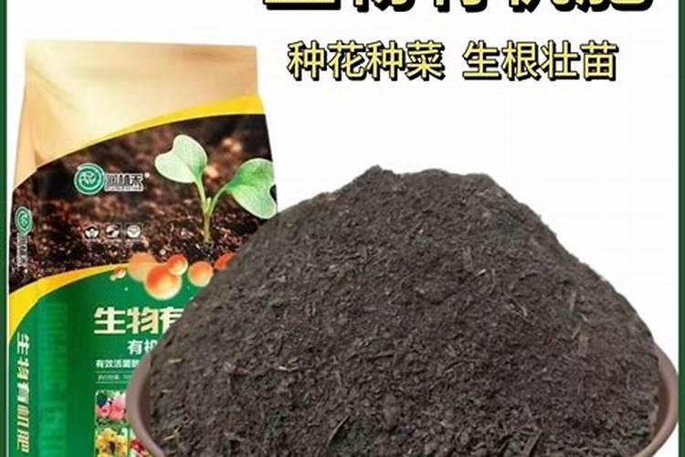 菌肥可以养花吗