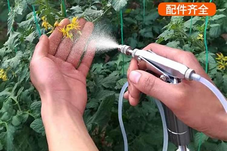 黄瓜沾花时加叶面肥可以的。