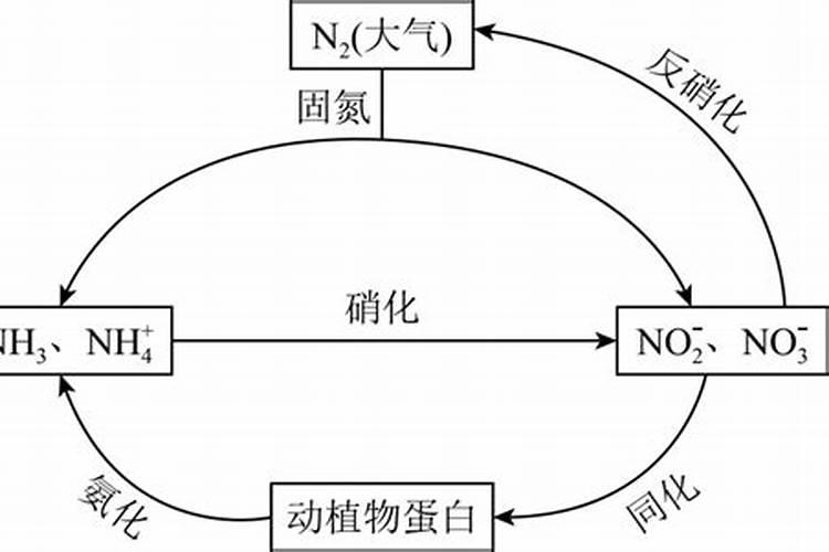 自然界中含有大量的氮元素(如氮气),为什么植物生长还需要施氮肥呢？